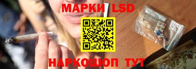 a pvp Краснознаменск