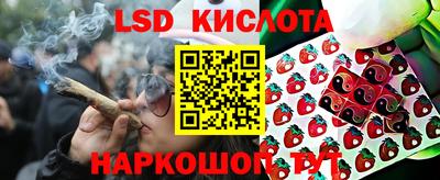 a pvp Краснознаменск