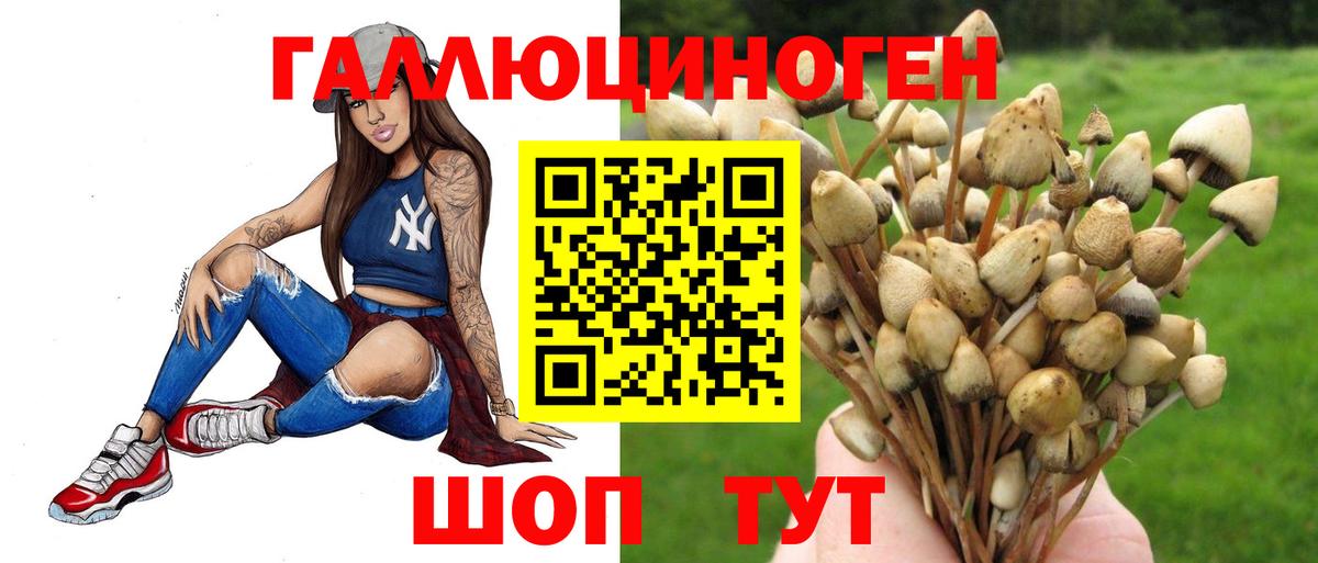 Псилоцибиновые грибы Psilocybe  наркотики  Жуковский  Вход с VPN  Псилоцибиновые грибы Psilocybe 