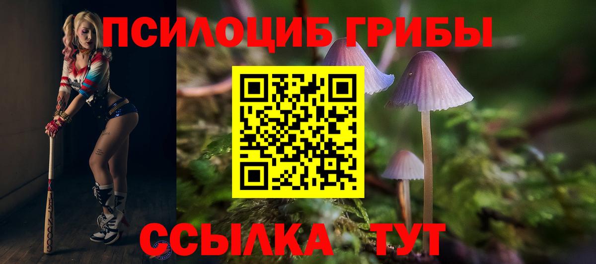 Псилоцибиновые грибы мухоморы Жуковский